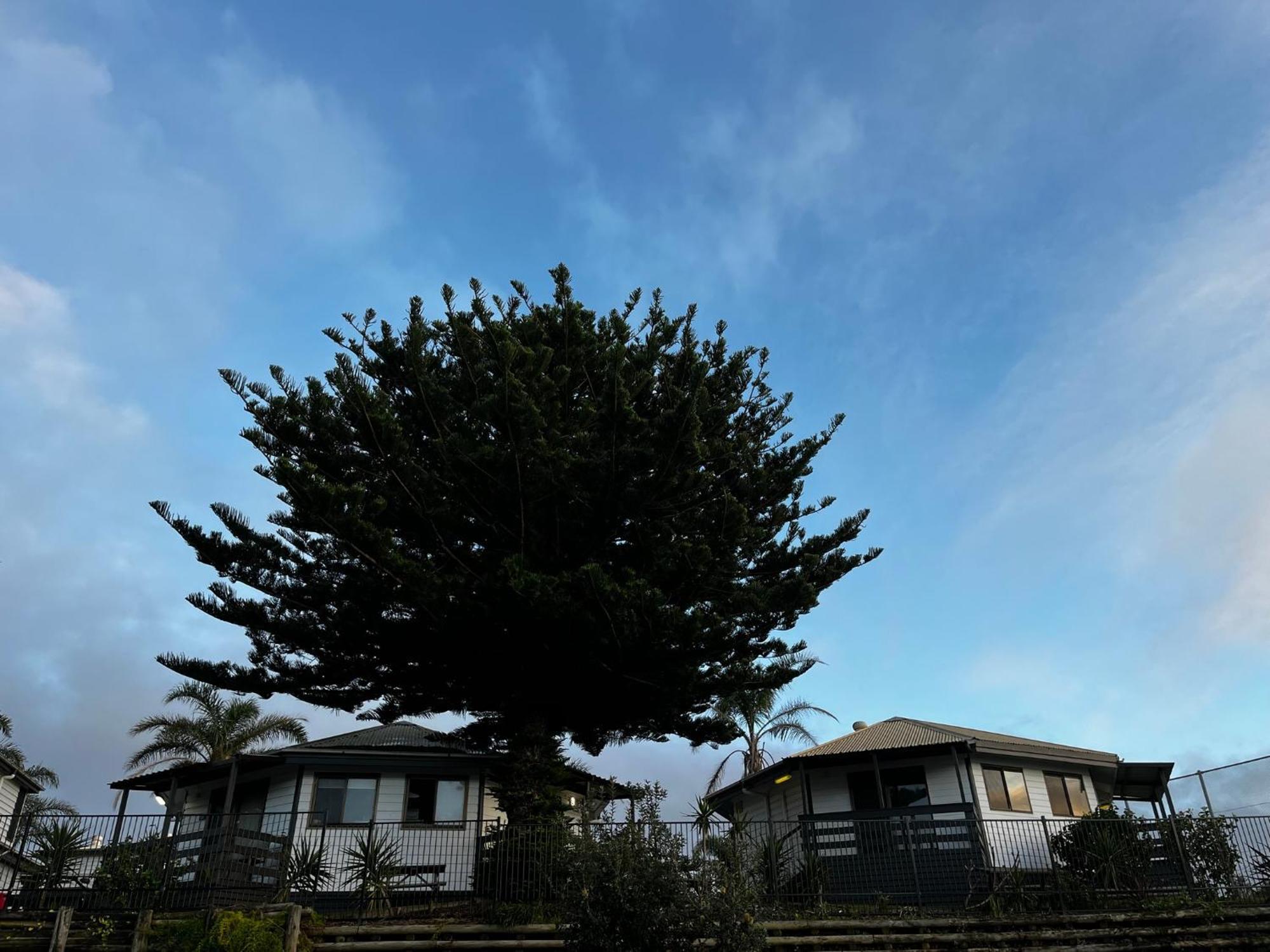 Shelly Beach Holiday Park Зе-Энтранс Экстерьер фото